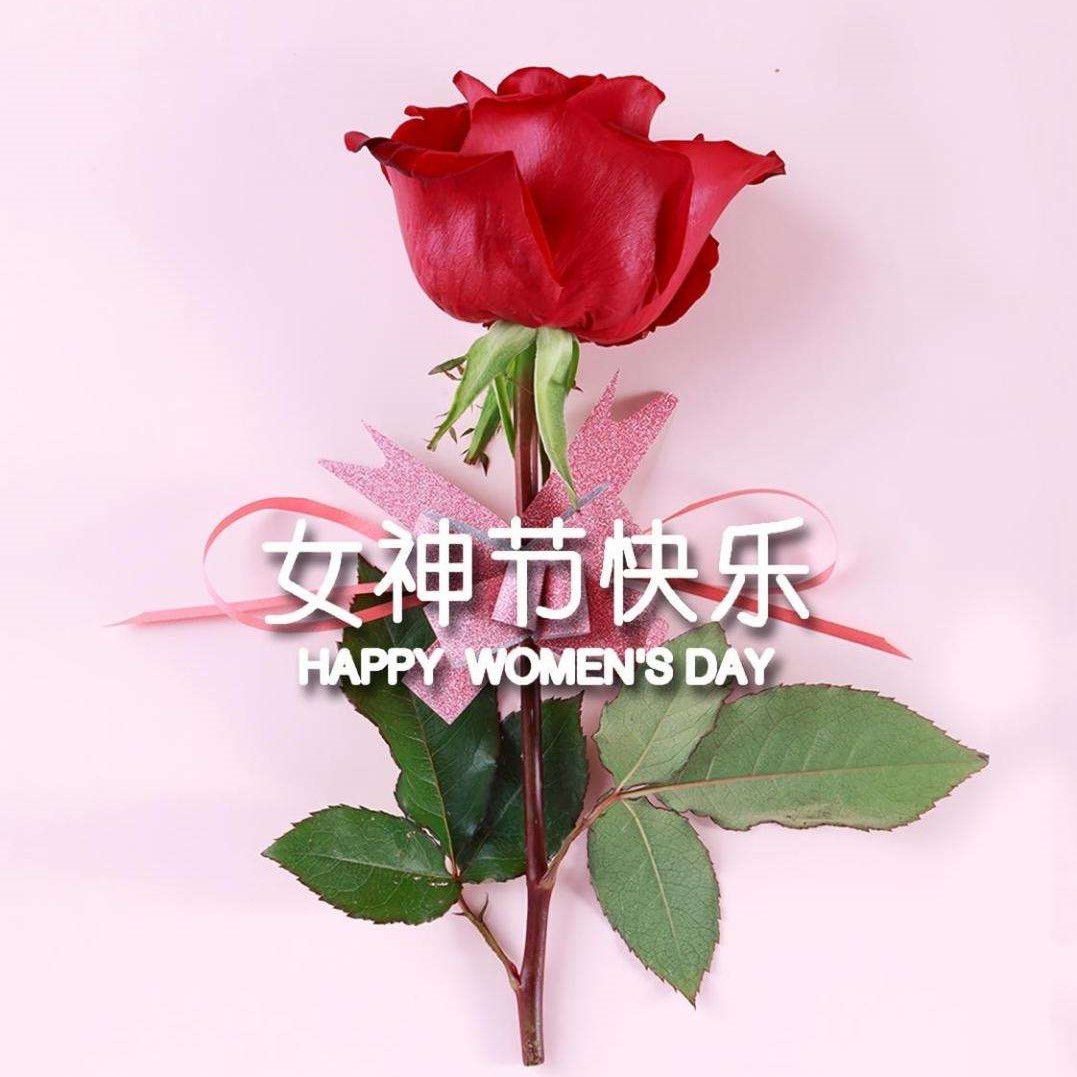 女神節(jié)特輯丨以醫(yī)療力量，筑女性健康